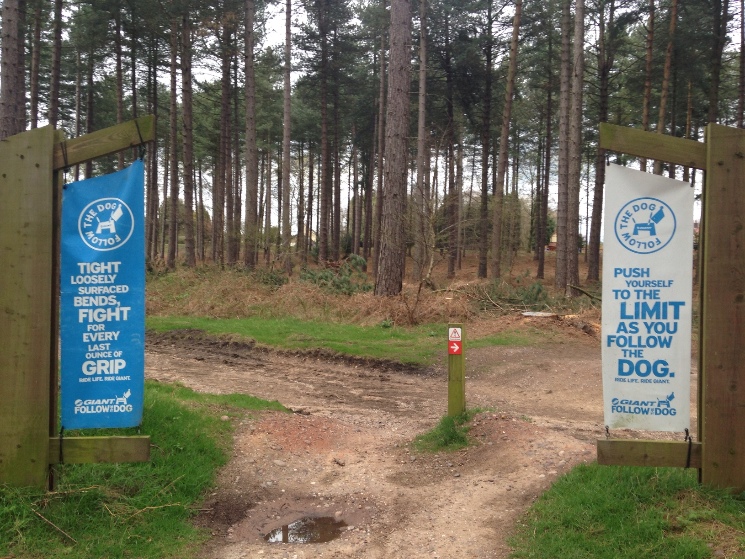 Cannock Chase Trail Centre