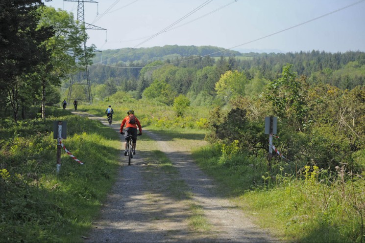 2014 X-Fusion/Enduro1 - Round 2 Haldon Forest - Gallery