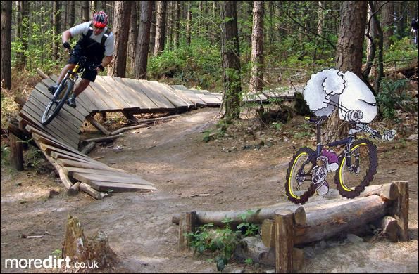 Bedgebury Freeride Area