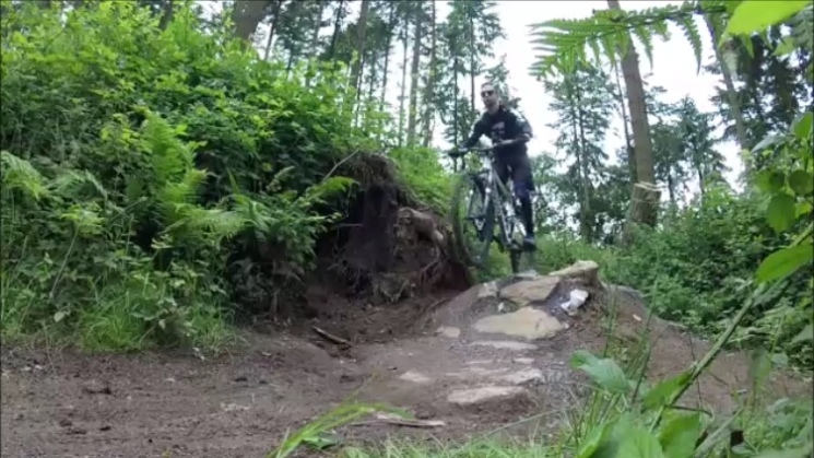Haldon Forest Mountain Bike Trail Centre