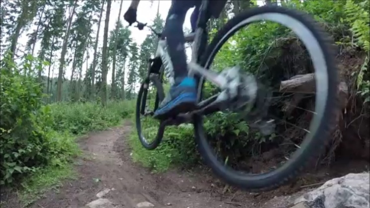 Haldon Forest Mountain Bike Trail Centre