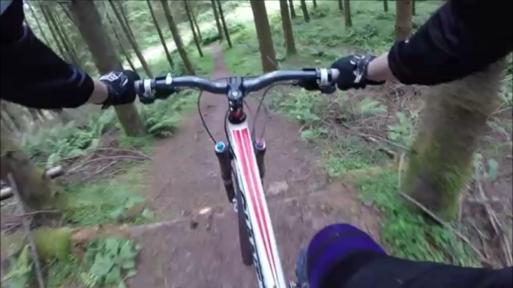 Triscombe Mountain Bike Trails