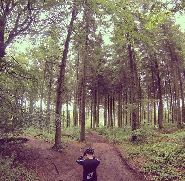 Triscombe Mountain Bike Trails