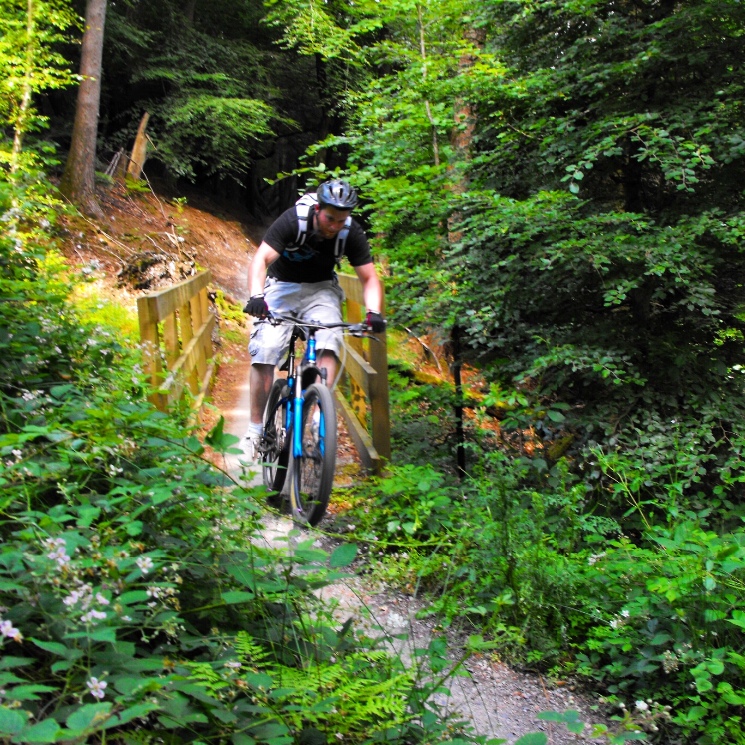 Haldon Forest Mountain Bike Trail Centre