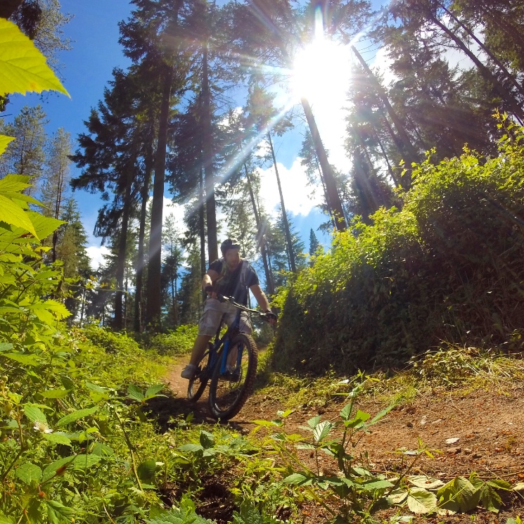Haldon Forest Mountain Bike Trail Centre