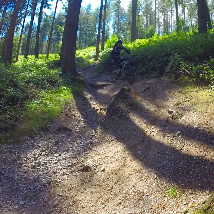 Haldon Forest Mountain Bike Trail Centre