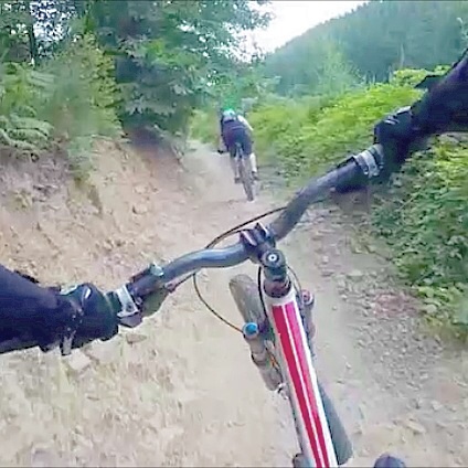 Forest of Dean Mountain Bike Trails