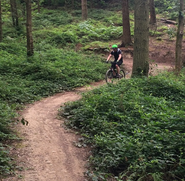 Forest of Dean Mountain Bike Trails