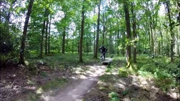Forest of Dean Mountain Bike Trails
