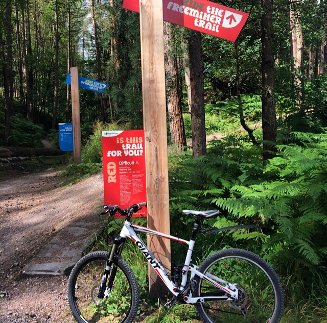 Forest of Dean Mountain Bike Trails