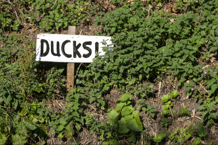 British 4X 2014 - Round 7: Falmouth - Gallery