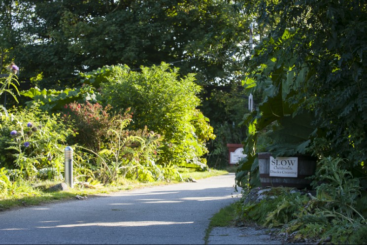 British 4X 2014 - Round 7: Falmouth - Gallery