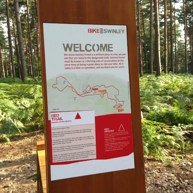Swinley Forest Mountain Bike Centre - Red Trail