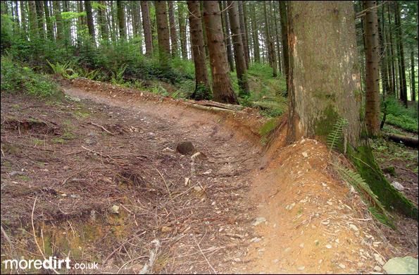 Cann Wood Trails