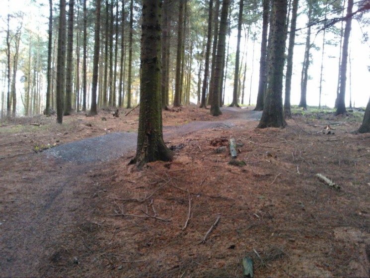 Callendar Estate Mountain Bike Trails
