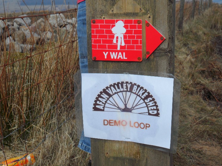 Afan Forest Park Trail Centre