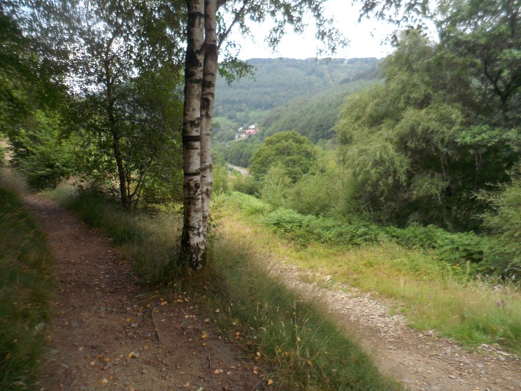 Y Mynydd Downhill - Cwmcarn