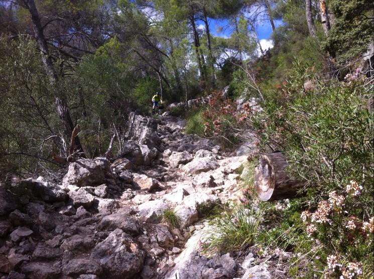 Alaro-Castillo-Pas de Estalo-Coa Negra-Alaro