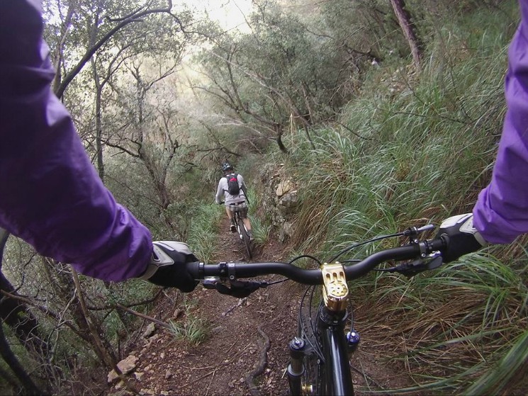 Son Borras Downhill Trail