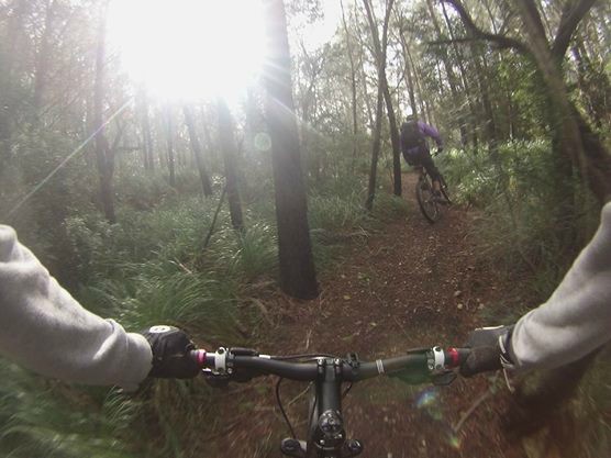 Son Borras Downhill Trail