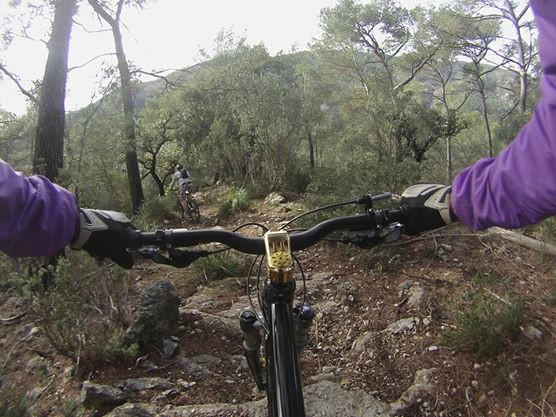 Son Borras Downhill Trail