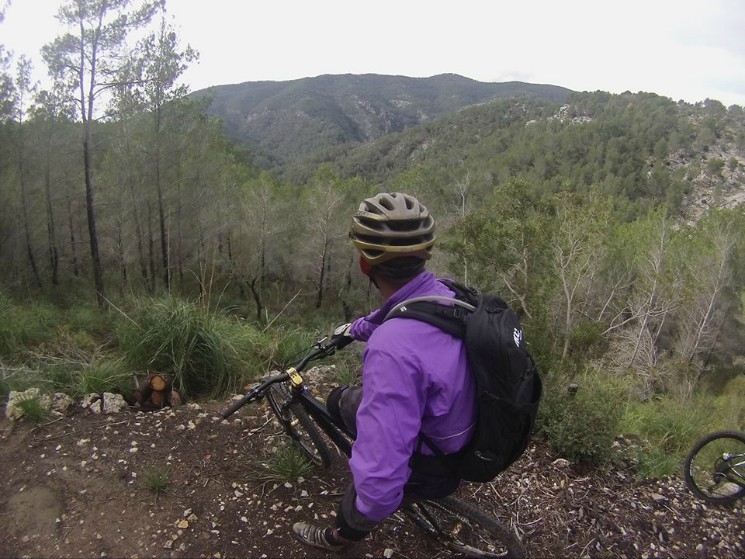 Son Borras Downhill Trail
