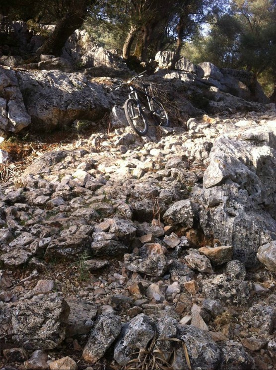 Alaro, Solleric, S'Almedra, Oli Clar, Alaro Trail