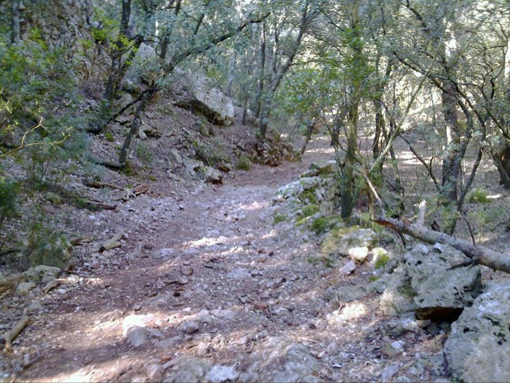 Bajada Cocons Downhill Trail