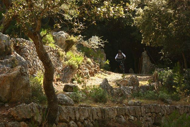 Alaro, Solleric, S'Almedra, Oli Clar, Alaro Trail