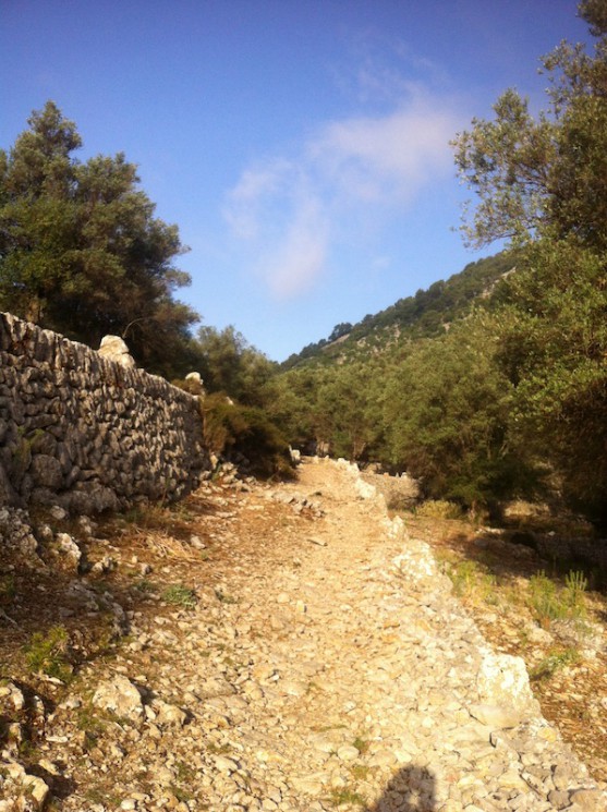 Alaro, Solleric, S'Almedra, Oli Clar, Alaro Trail