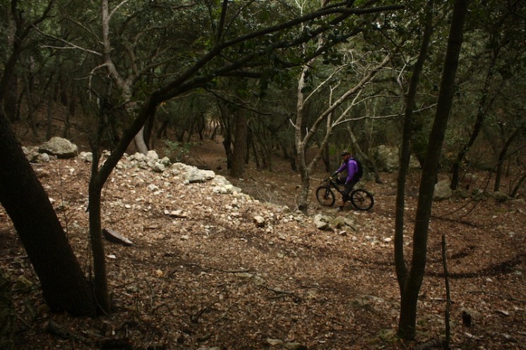Sa Bastida Downhill Trail