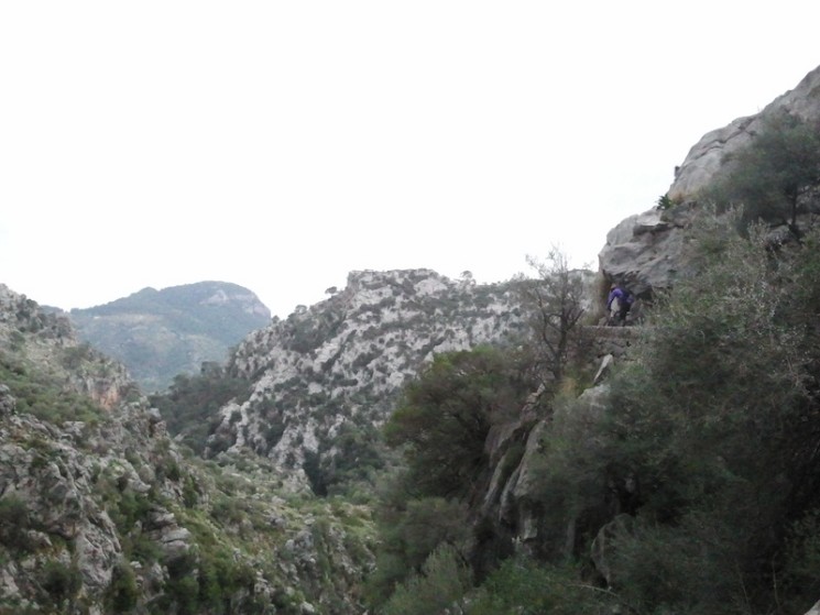 Alaro, Cuber Killer Loop Trail