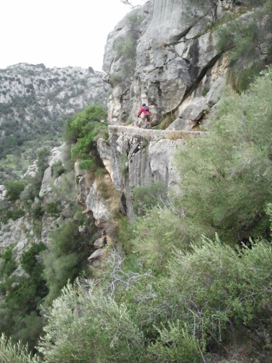 Alaro, Cuber Killer Loop Trail