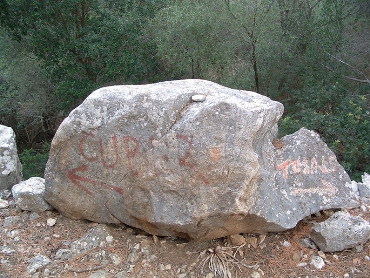 Alaro, Cuber Killer Loop Trail