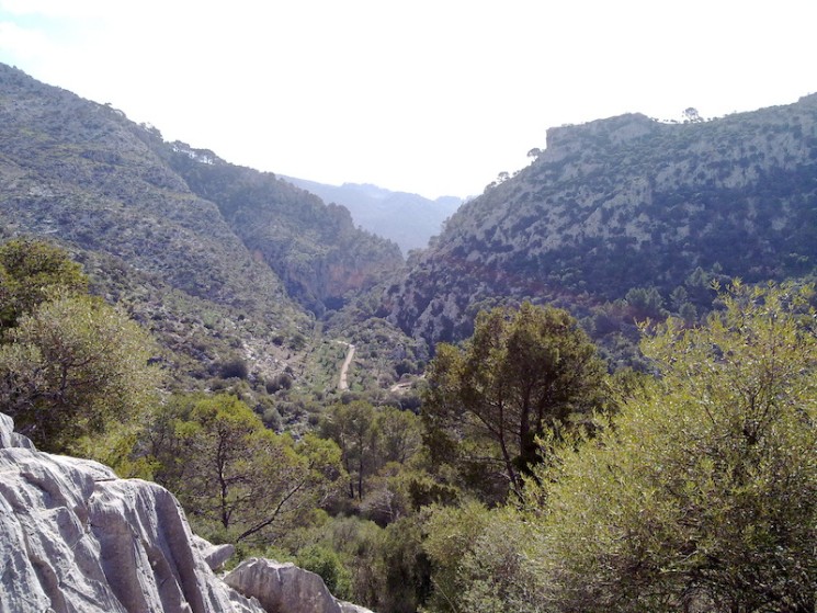 Alaro, Cuber Killer Loop Trail