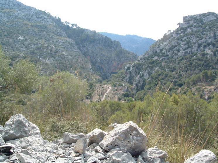 Alaro, Cuber Killer Loop Trail