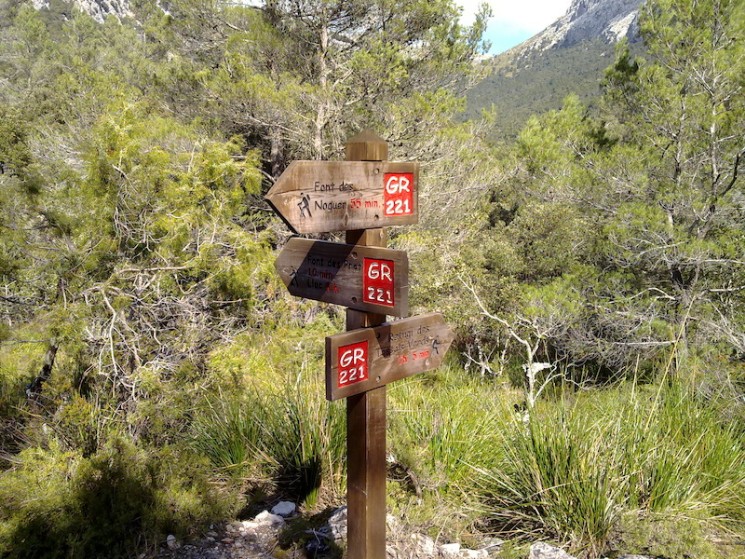 Alaro, Cuber Killer Loop Trail