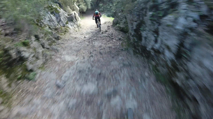 Bajada Cocons Downhill Trail