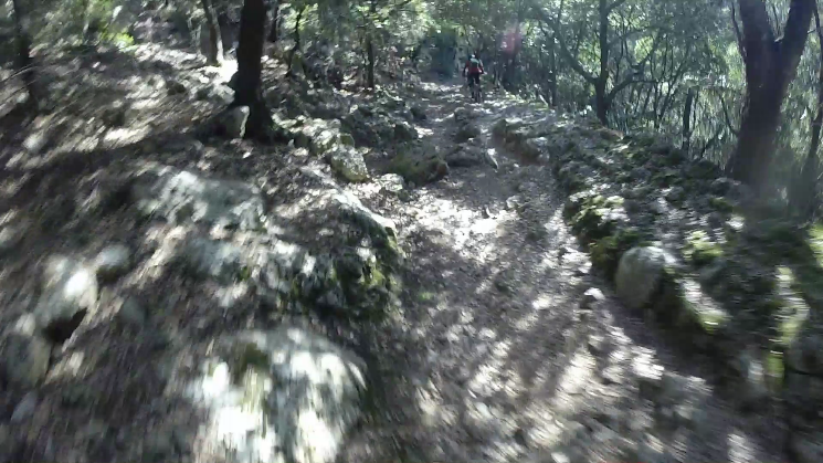 Bajada Cocons Downhill Trail