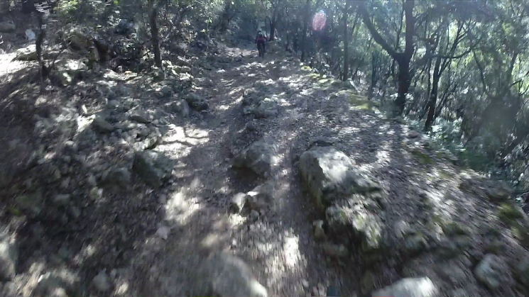 Bajada Cocons Downhill Trail