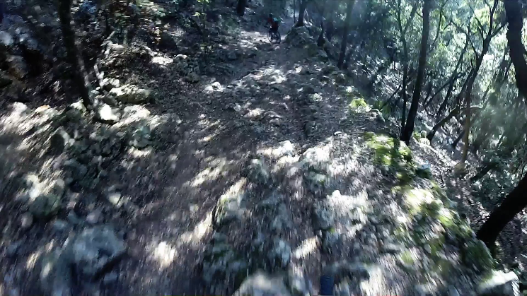 Bajada Cocons Downhill Trail