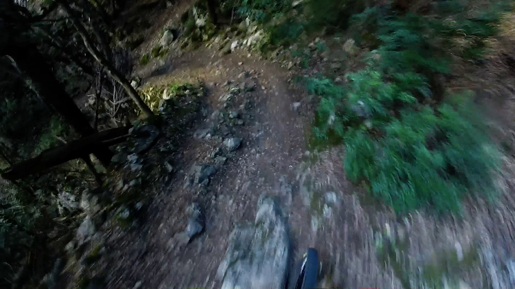 Bajada Cocons Downhill Trail