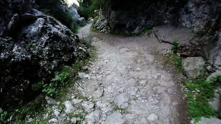 Bajada Cocons Downhill Trail