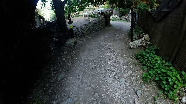 Bajada Cocons Downhill Trail