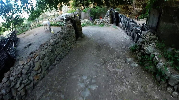 Bajada Cocons Downhill Trail