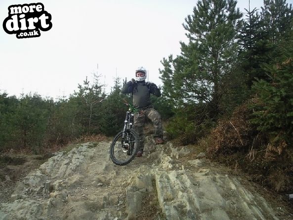 Phoenix Trail - Mabie Forest