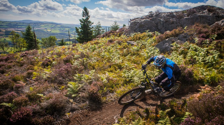 Vitus First Tracks Enduro Cup
