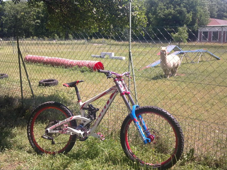 short wheelbase on the Alpaka, very wide instead o