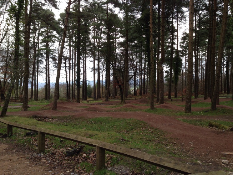 Haldon Forest Skills Area & Pump Track