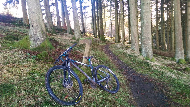 Newcastleton Mountain Bike Trails